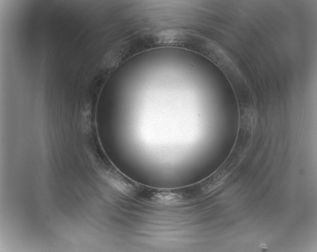 X0000076220557200609281115