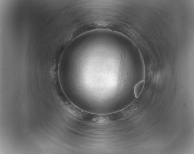 X0000076220559200609281115