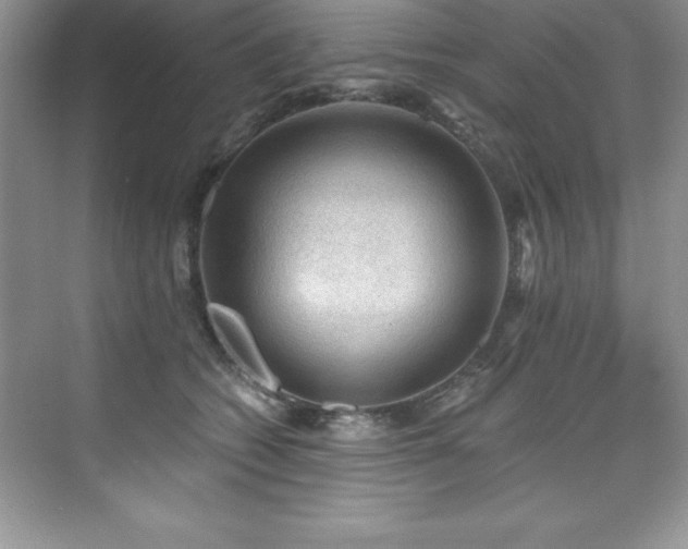 X0000076220562200609281115