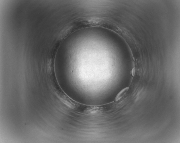 X0000076220563200609281115