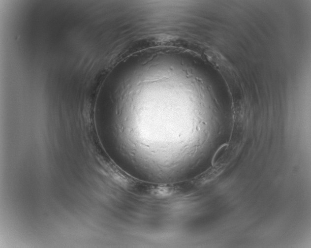 X0000076220565200609281115