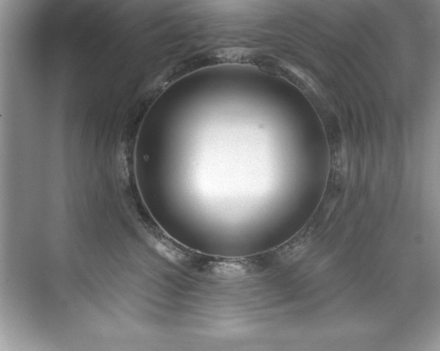 X0000076220572200609281116