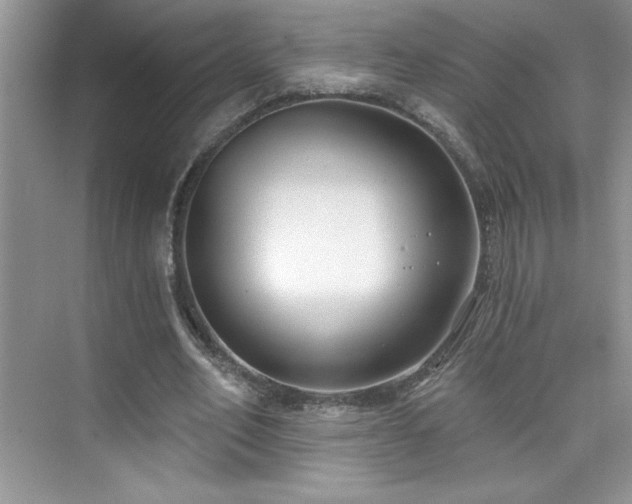 X0000076220582200609281115