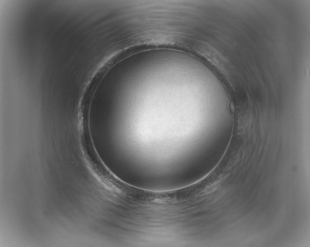 X0000076220584200609281115