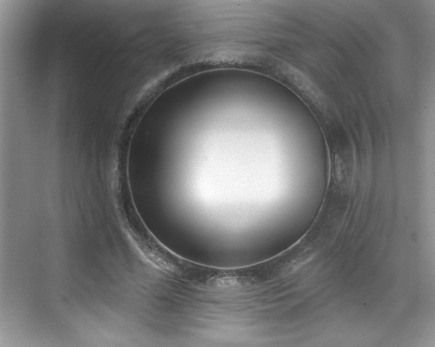 X0000076220588200609281115
