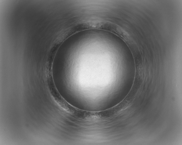 X0000076220594200609281115