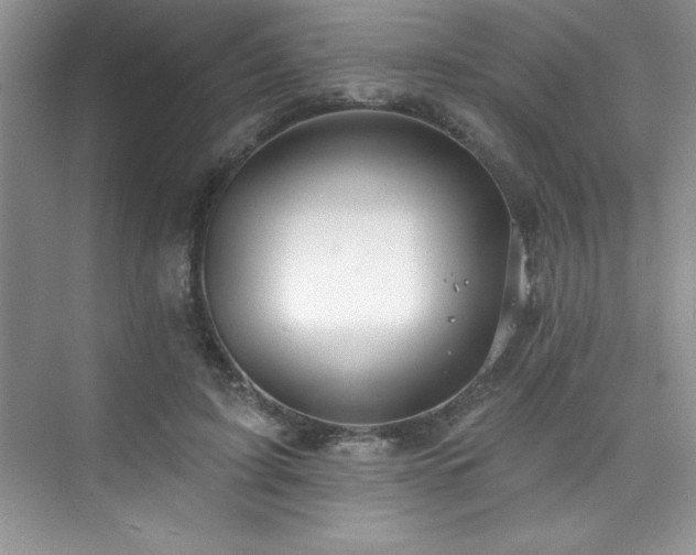 X0000076220595200609281114