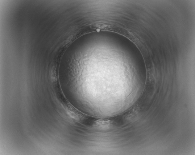 X0000076220606200609281114