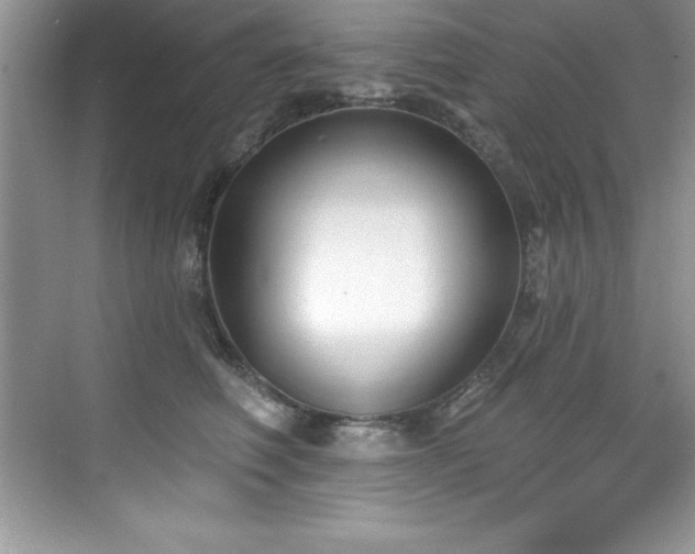X0000076220614200609281114