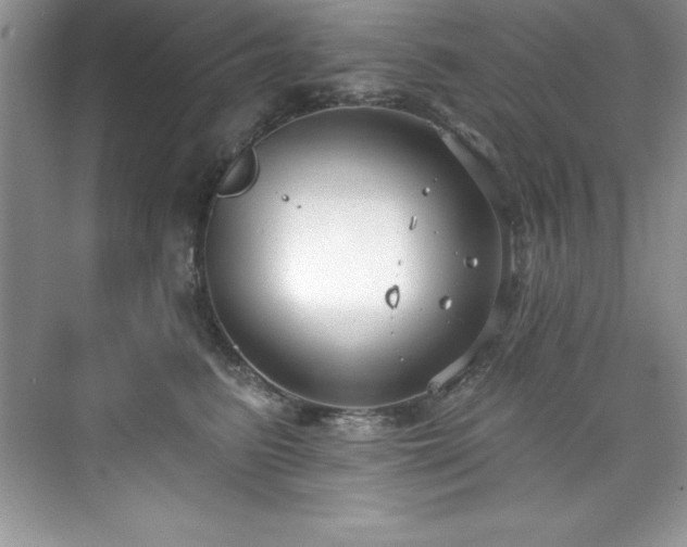 X0000076220615200609281114