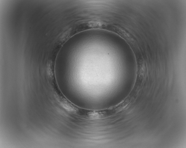 X0000076220616200609281114