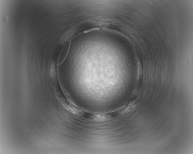 X0000076220623200609281114