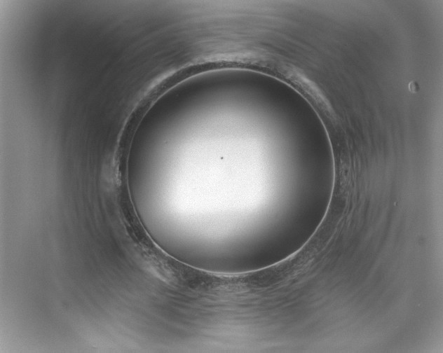 X0000076220628200609281113