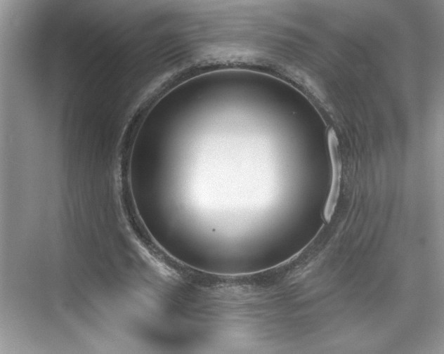X0000076220629200609281113