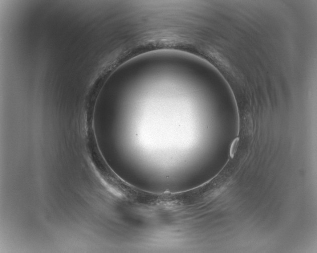 X0000076220638200609281113