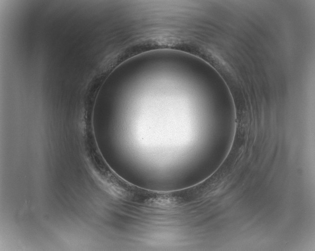 X0000076220639200609281113
