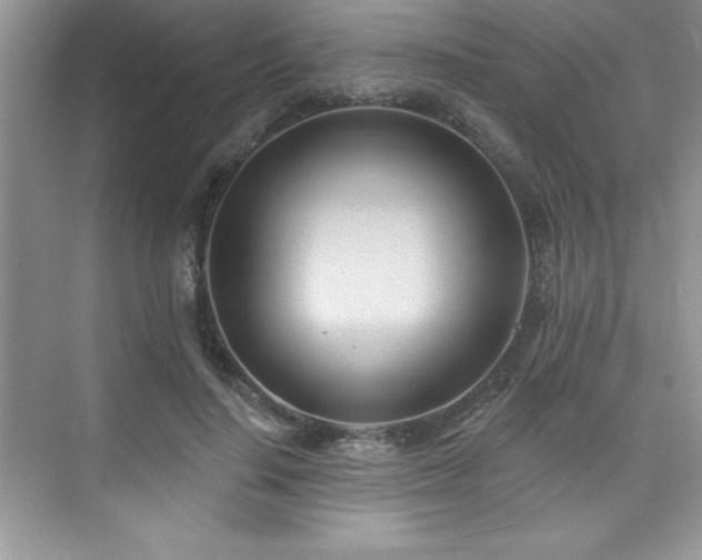 X0000076220644200609281114