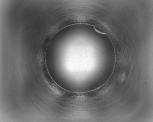 X0000076220645200609281114