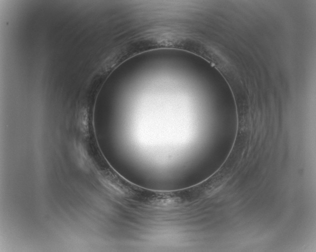 X0000076220646200609281114