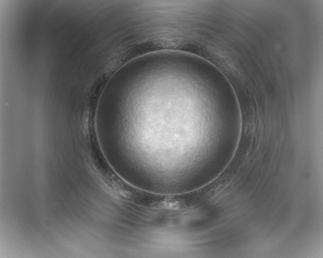 X0000076220647200609281114