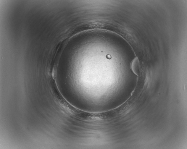 X0000076220649200609281114