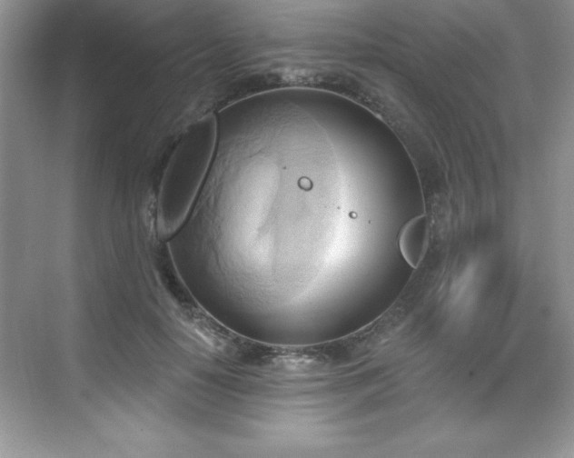 X0000076220650200609281114