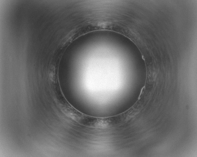 X0000076220656200609281114