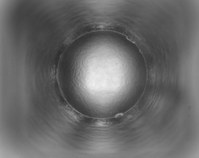 X0000076220657200609281114