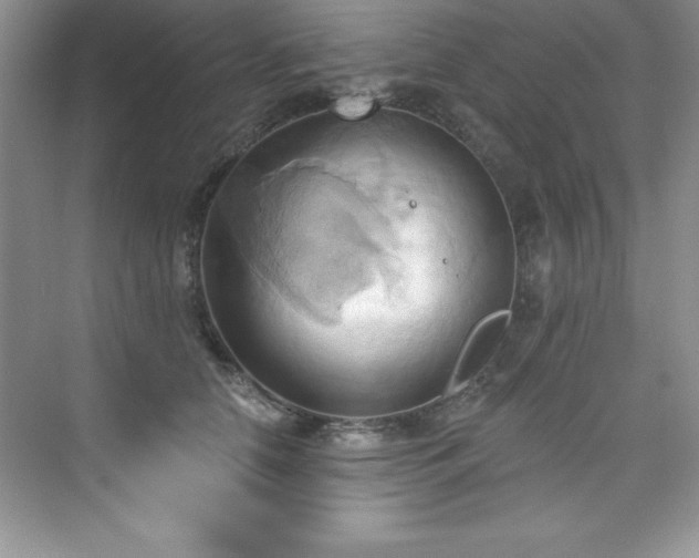 X0000076220658200609281114