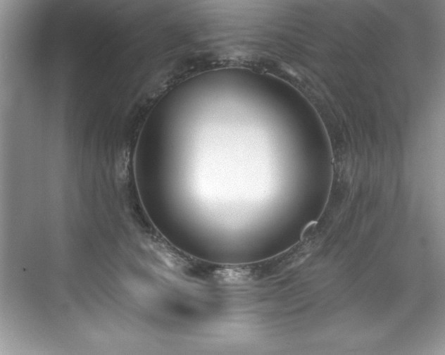 X0000076220660200609281114