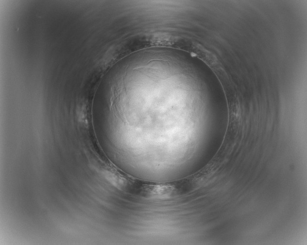 X0000076220663200609281114