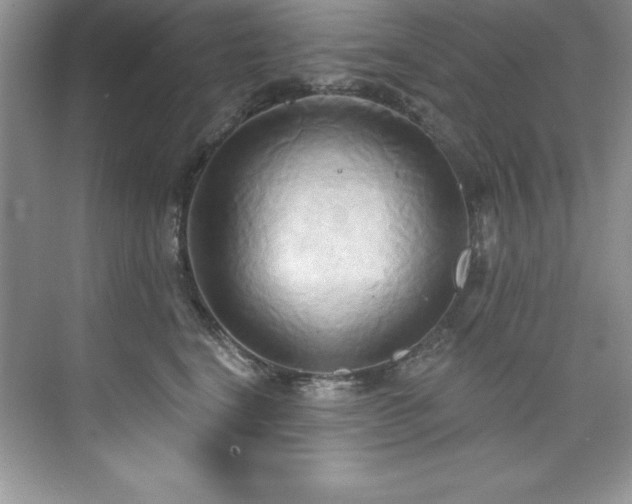 X0000076220664200609281114