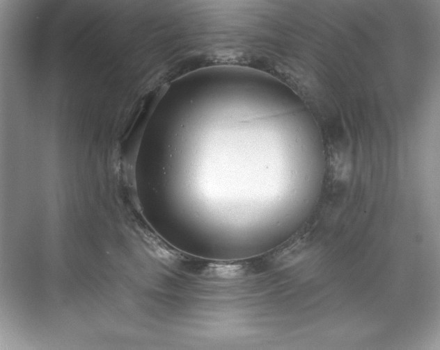 X0000076220665200609281114