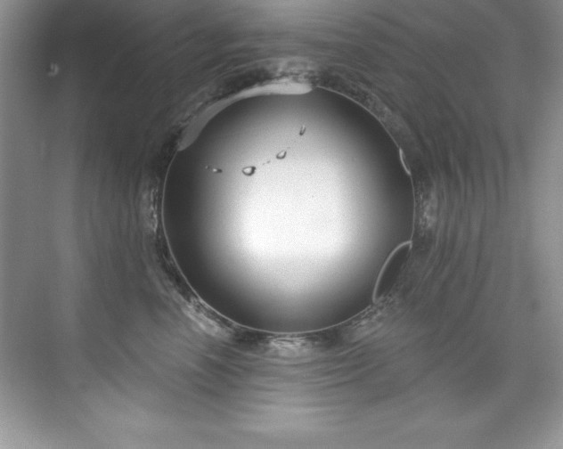 X0000076220666200609281114