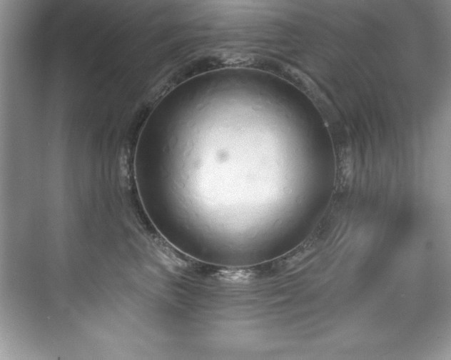 X0000076220667200609281114