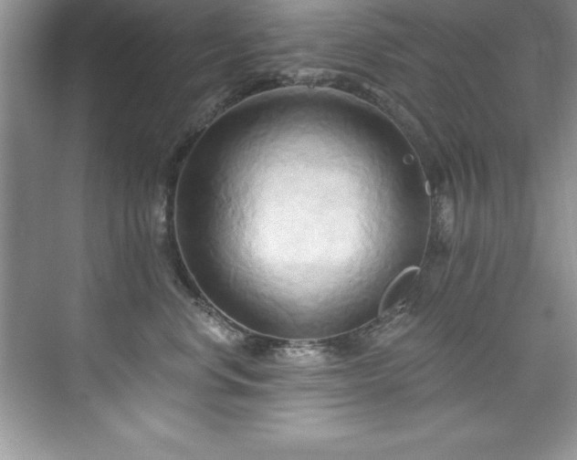 X0000076220668200609281114
