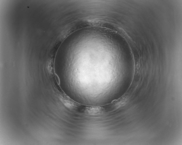 X0000076220671200609281114