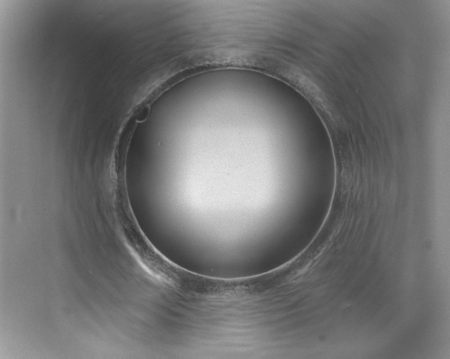 X0000076220674200609281113
