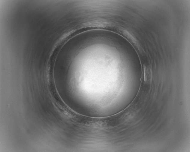 X0000076220675200609281113
