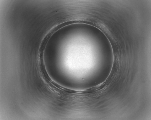 X0000076220676200609281113