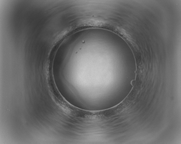 X0000076220679200609281113