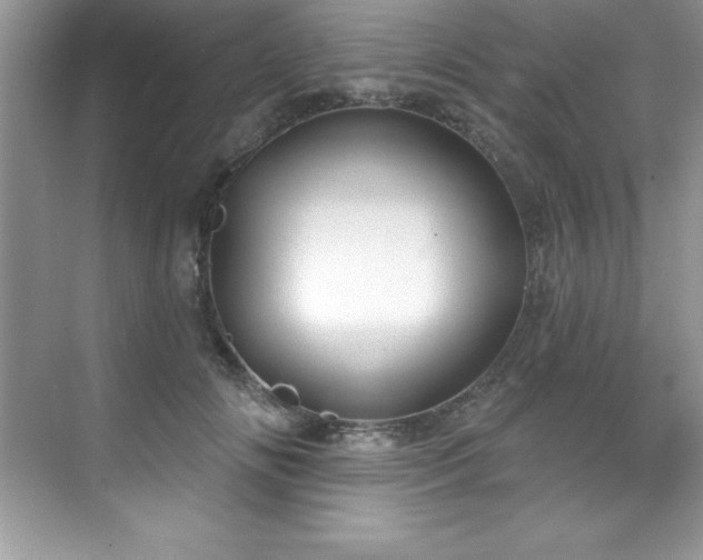 X0000076220702200609281113