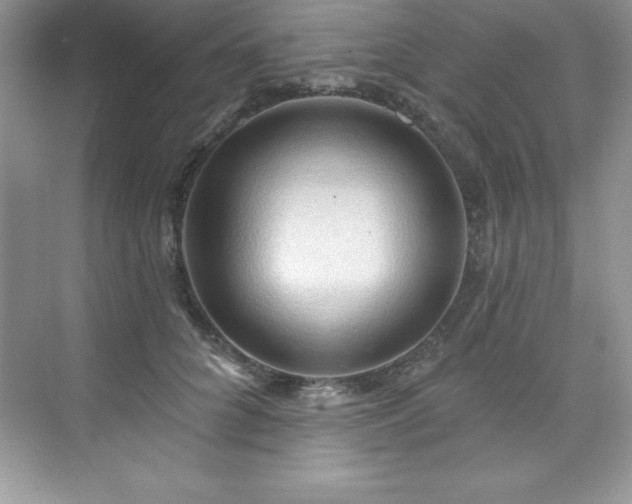 X0000076220704200609281113