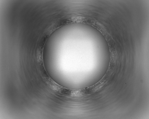 X0000076220705200609281113