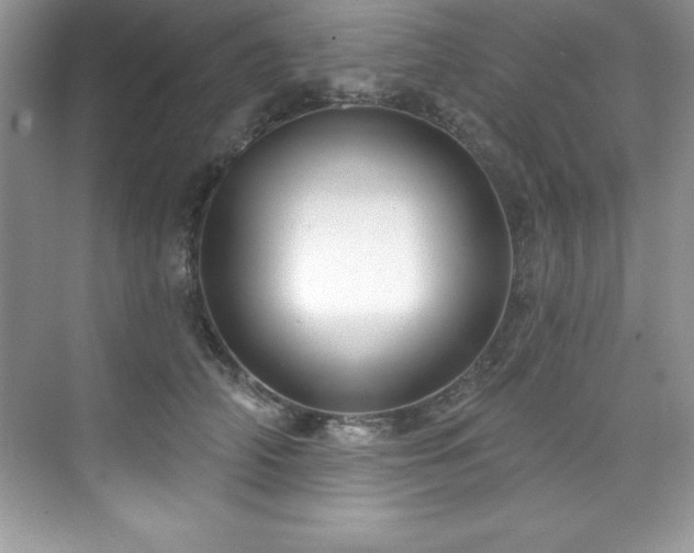 X0000076220706200609281113