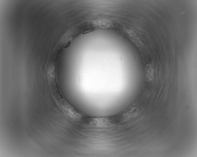 X0000076220713200609281112