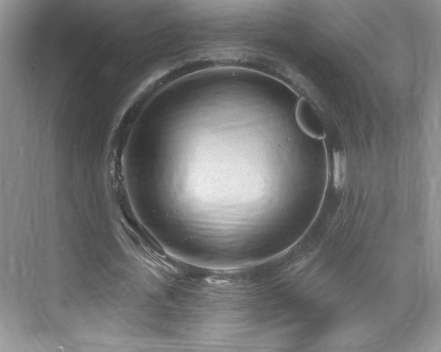 X0000076220723200609281112