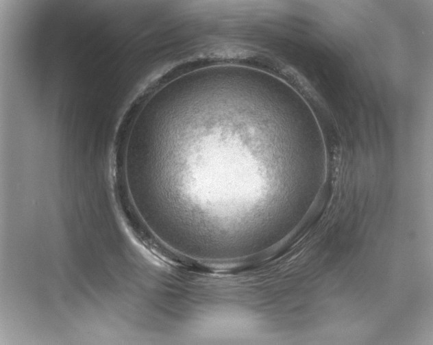 X0000076220726200609281112