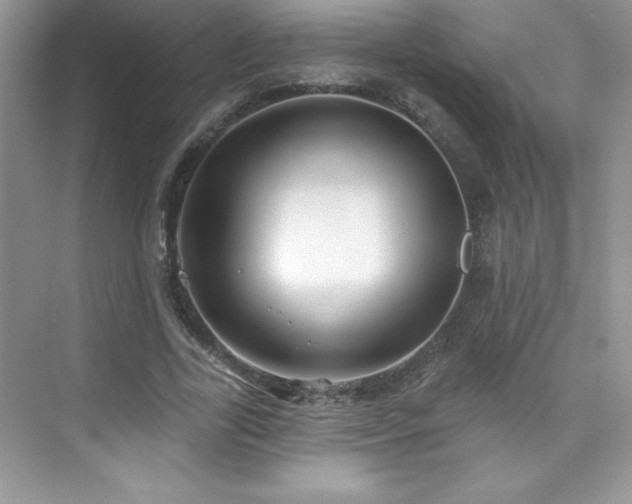 X0000076220731200609281112