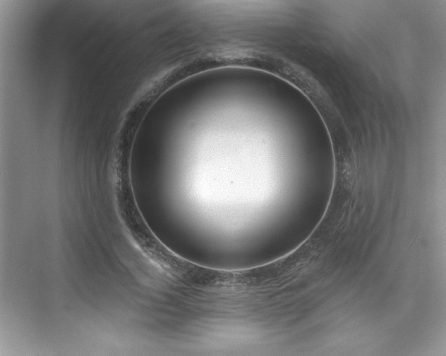 X0000076220732200609281112